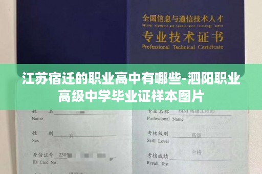 江苏宿迁的职业高中有哪些-泗阳职业高级中学毕业证样本图片