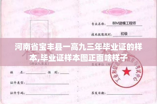 河南省宝丰县一高九三年毕业证的样本,毕业证样本图正面啥样子