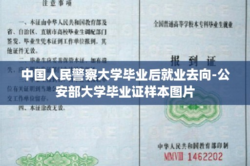 中国人民警察大学毕业后就业去向-公安部大学毕业证样本图片