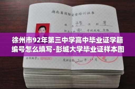 徐州市92年第三中学高中毕业证学籍编号怎么填写-彭城大学毕业证样本图