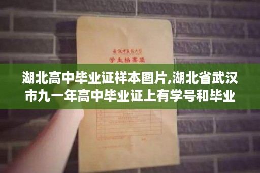 湖北高中毕业证样本图片,湖北省武汉市九一年高中毕业证上有学号和毕业证编号没有