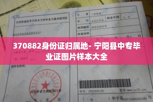 370882身份证归属地- 宁阳县中专毕业证图片样本大全