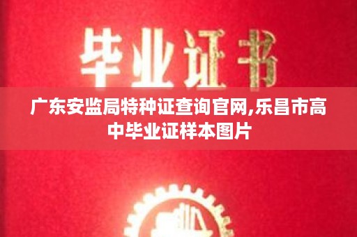 广东安监局特种证查询官网,乐昌市高中毕业证样本图片