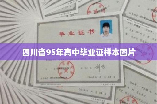 四川省95年高中毕业证样本图片