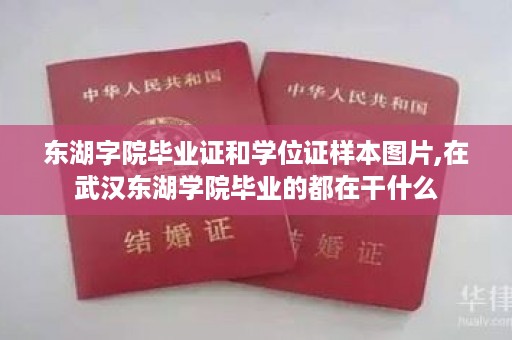东湖字院毕业证和学位证样本图片,在武汉东湖学院毕业的都在干什么