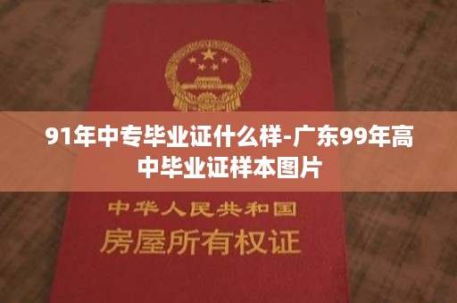 91年中专毕业证什么样-广东99年高中毕业证样本图片
