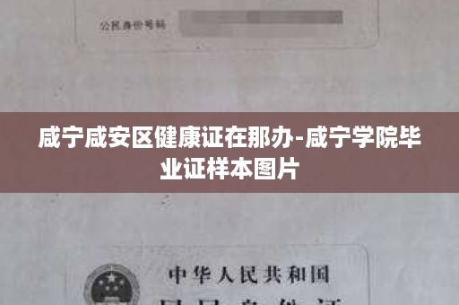 咸宁咸安区健康证在那办-咸宁学院毕业证样本图片