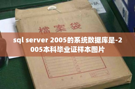 sql server 2005的系统数据库是-2005本科毕业证样本图片