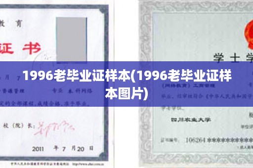 1996老毕业证样本(1996老毕业证样本图片)