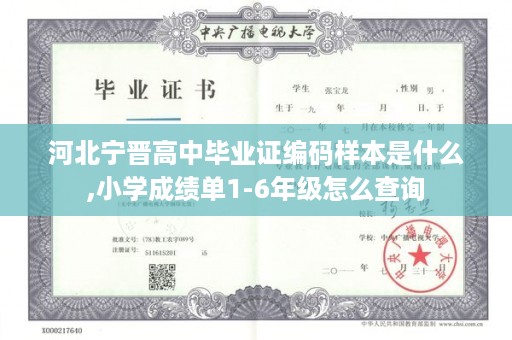 河北宁晋高中毕业证编码样本是什么,小学成绩单1-6年级怎么查询