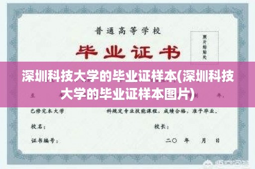 深圳科技大学的毕业证样本(深圳科技大学的毕业证样本图片)