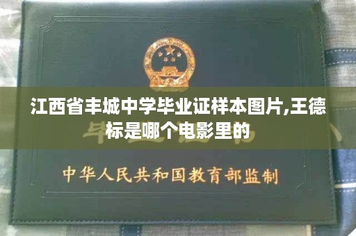 江西省丰城中学毕业证样本图片,王德标是哪个电影里的