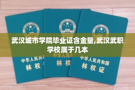 武汉城市学院毕业证含金量,武汉武职学校属于几本