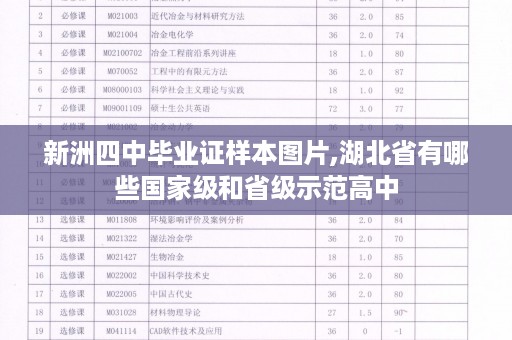 新洲四中毕业证样本图片,湖北省有哪些国家级和省级示范高中
