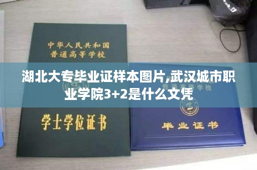 湖北大专毕业证样本图片,武汉城市职业学院3+2是什么文凭