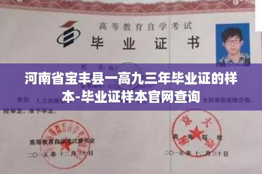 河南省宝丰县一高九三年毕业证的样本-毕业证样本官网查询