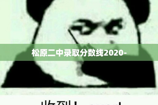 松原二中录取分数线2020-