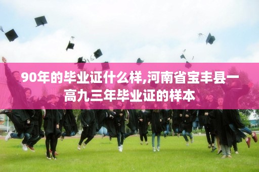 90年的毕业证什么样,河南省宝丰县一高九三年毕业证的样本