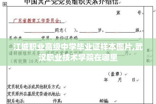 江城职业高级中学毕业证样本图片,武汉职业技术学院在哪里