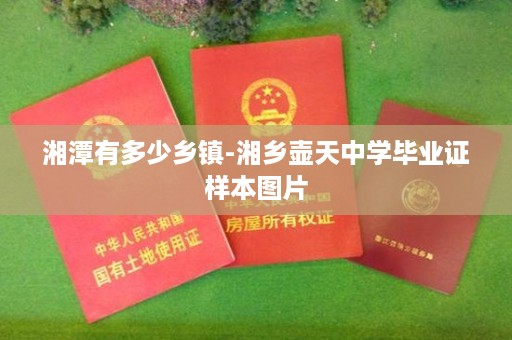 湘潭有多少乡镇-湘乡壶天中学毕业证样本图片