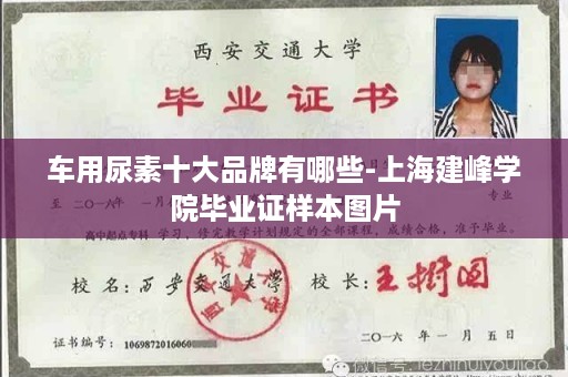 车用尿素十大品牌有哪些-上海建峰学院毕业证样本图片