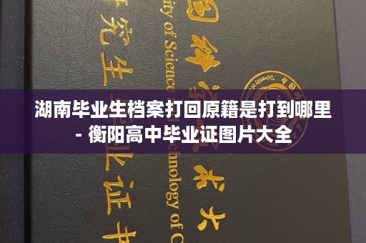湖南毕业生档案打回原籍是打到哪里- 衡阳高中毕业证图片大全