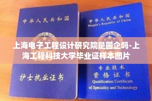 上海电子工程设计研究院是国企吗-上海工程科技大学毕业证样本图片