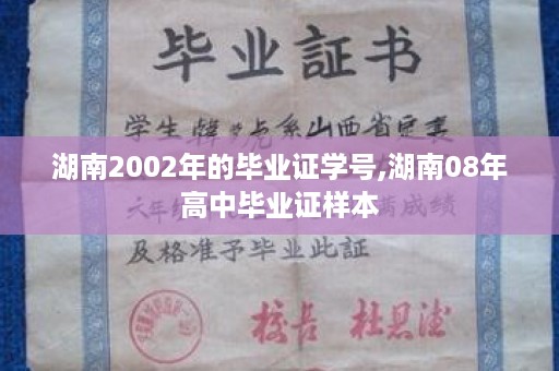 湖南2002年的毕业证学号,湖南08年高中毕业证样本