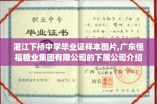 湛江下桥中学毕业证样本图片,广东恒福糖业集团有限公司的下属公司介绍