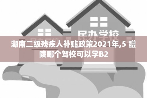 湖南二级残疾人补贴政策2021年,5 醴陵哪个驾校可以学B2