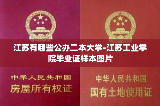 江苏有哪些公办二本大学-江苏工业学院毕业证样本图片