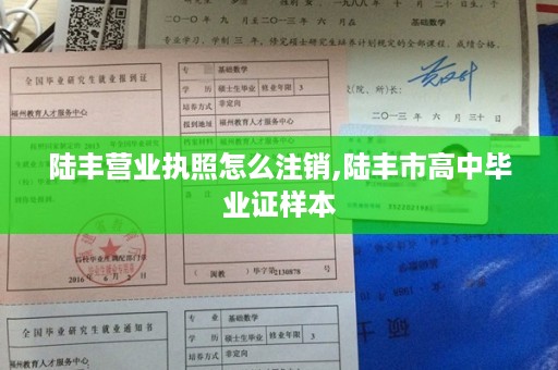 陆丰营业执照怎么注销,陆丰市高中毕业证样本