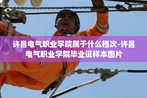 许昌电气职业学院属于什么档次-许昌电气职业学院毕业证样本图片