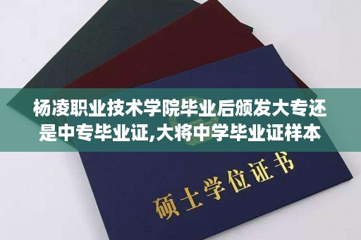 杨凌职业技术学院毕业后颁发大专还是中专毕业证,大将中学毕业证样本
