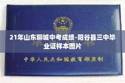 21年山东聊城中考成绩-阳谷县三中毕业证样本图片
