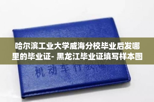 哈尔滨工业大学威海分校毕业后发哪里的毕业证- 黑龙江毕业证填写样本图片