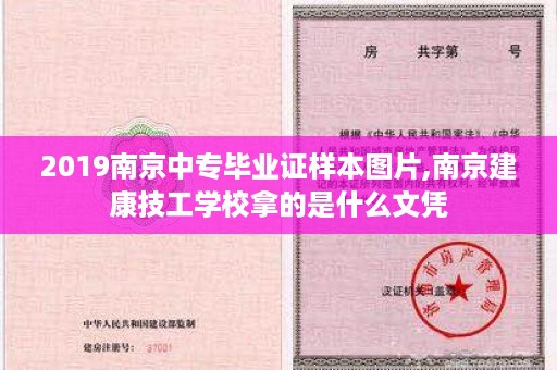 2019南京中专毕业证样本图片,南京建康技工学校拿的是什么文凭