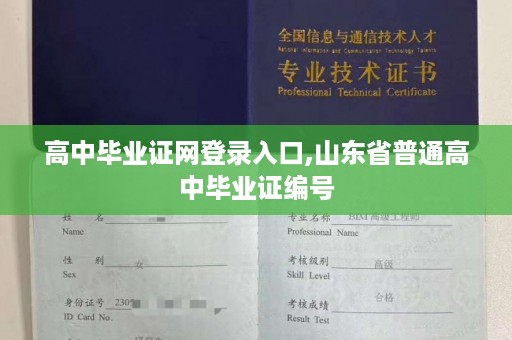 高中毕业证网登录入口,山东省普通高中毕业证编号