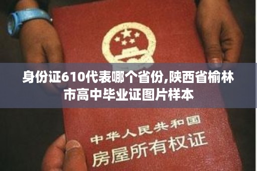 身份证610代表哪个省份,陕西省榆林市高中毕业证图片样本