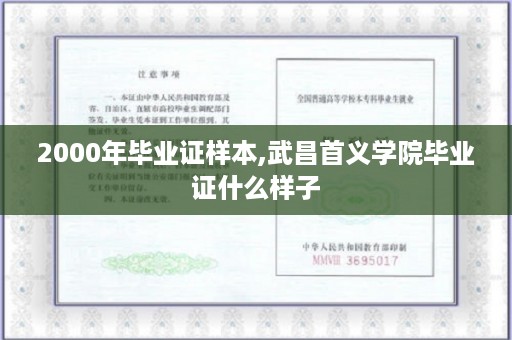 2000年毕业证样本,武昌首义学院毕业证什么样子