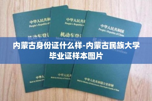 内蒙古身份证什么样-内蒙古民族大学毕业证样本图片