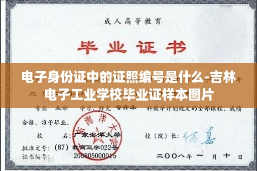 电子身份证中的证照编号是什么-吉林电子工业学校毕业证样本图片