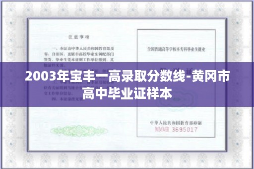 2003年宝丰一高录取分数线-黄冈市高中毕业证样本