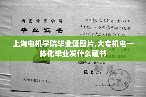 上海电机学院毕业证图片,大专机电一体化毕业发什么证书