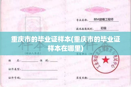 重庆市的毕业证样本(重庆市的毕业证样本在哪里)