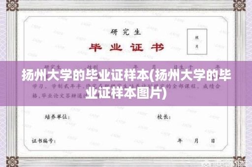 扬州大学的毕业证样本(扬州大学的毕业证样本图片)