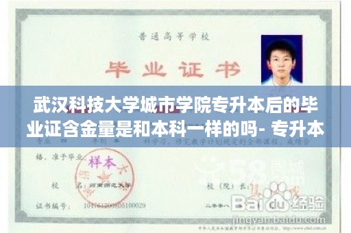 武汉科技大学城市学院专升本后的毕业证含金量是和本科一样的吗- 专升本全日制毕业证样本图片