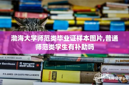 渤海大学师范类毕业证样本图片,普通师范类学生有补助吗
