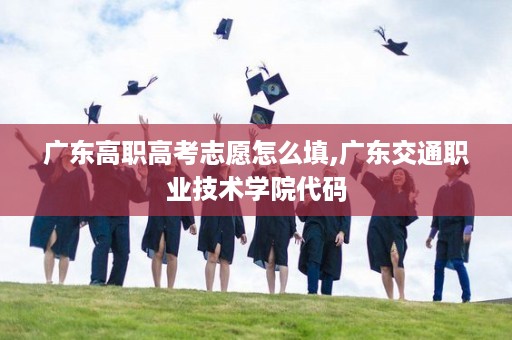 广东高职高考志愿怎么填,广东交通职业技术学院代码
