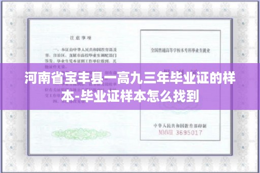 河南省宝丰县一高九三年毕业证的样本-毕业证样本怎么找到